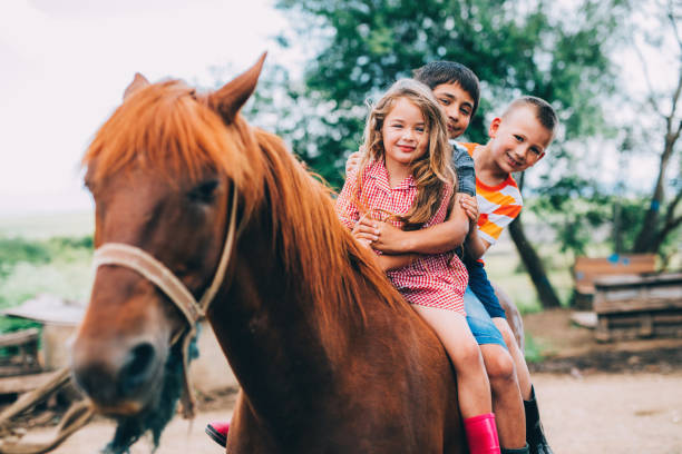 Cheval et poney : quelles différences ?